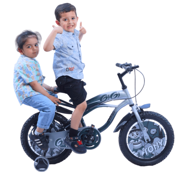 TONY RAW Gigi 14T BMX Bike Kids 2-5 Silver Training Wheels Toddler - Image 3