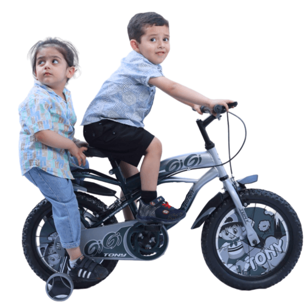 TONY RAW Gigi 14T BMX Bike Kids 2-5 Silver Training Wheels Toddler - Image 2